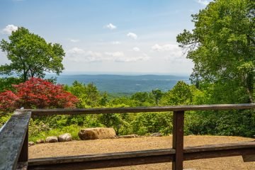 90 Pine Ridge Rd, Montgomery